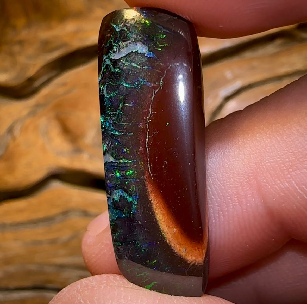 19.2cts - “Electric Rim”Yowah Nut Tribal Opal - Opal Whisperers