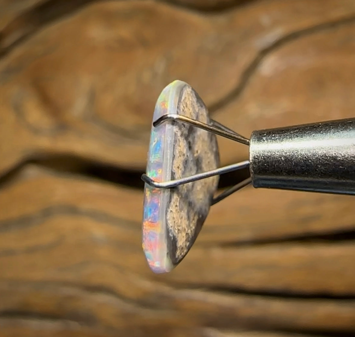 2.9cts - Lightning Ridge Solid Semi Black Opal - Opal Whisperers