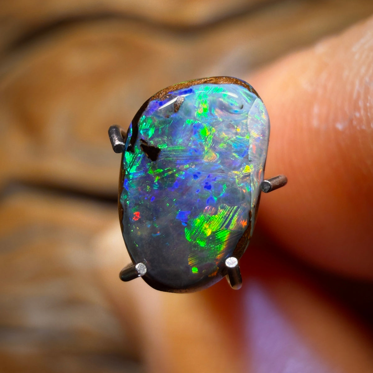 🔨 AUCTION 🔨 No Reserve 1.6cts - Queensland Boulder Seam Opal. Australian Opal