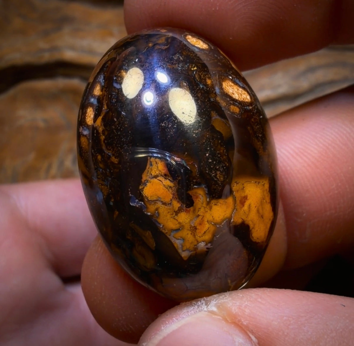 🔒 212.6cts - 5x Australian Boulder Seam Opal’s. Wholesale Dealers Parcel BARGAIN