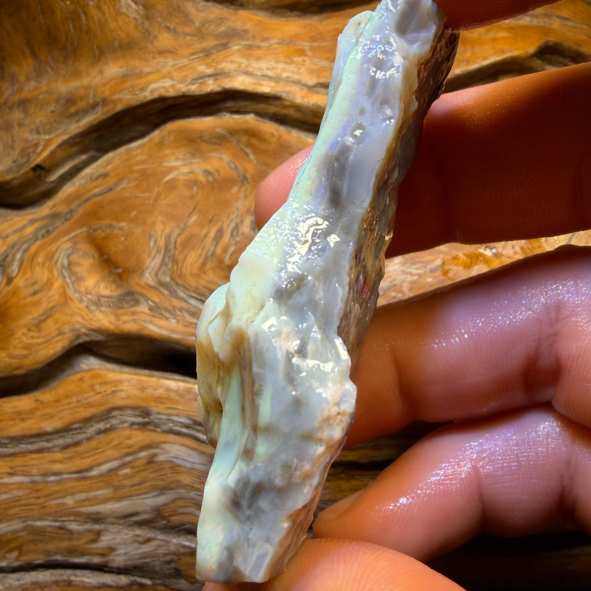 201.6cts - Lightning Ridge Semi Dark Opal Rough Piece