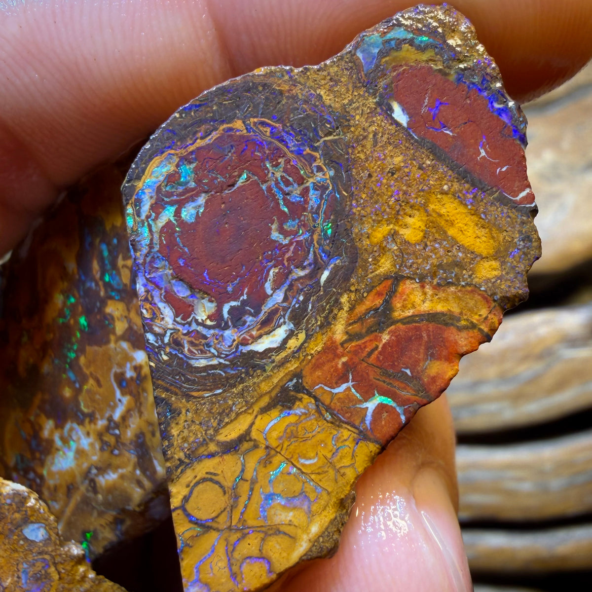TGIF 307.3cts - 5x Yowah Nut Opal Rough Parcel. Australian Boulder Opal
