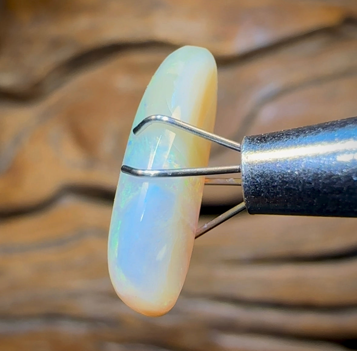 3.6cts - Queensland Boulder Crystal Opal from Winton - Opal Whisperers