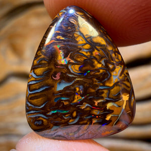 13.6cts - Tribal Yowah Nut Opal Picture Stone. Australian Opal