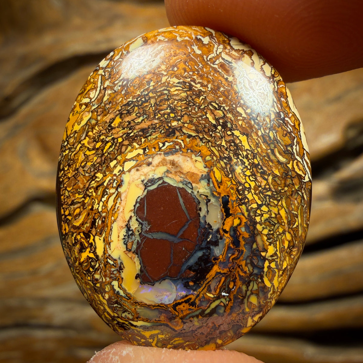 29.7cts - Tribal Queensland Boulder Opal from Yowah