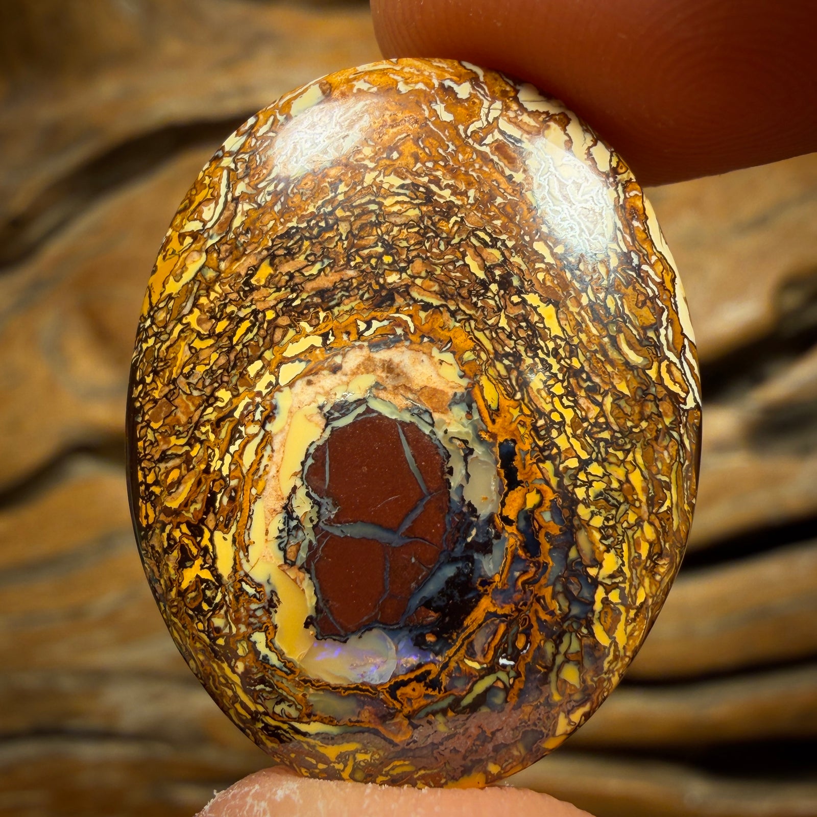 29.7cts - Tribal Queensland Boulder Opal from Yowah