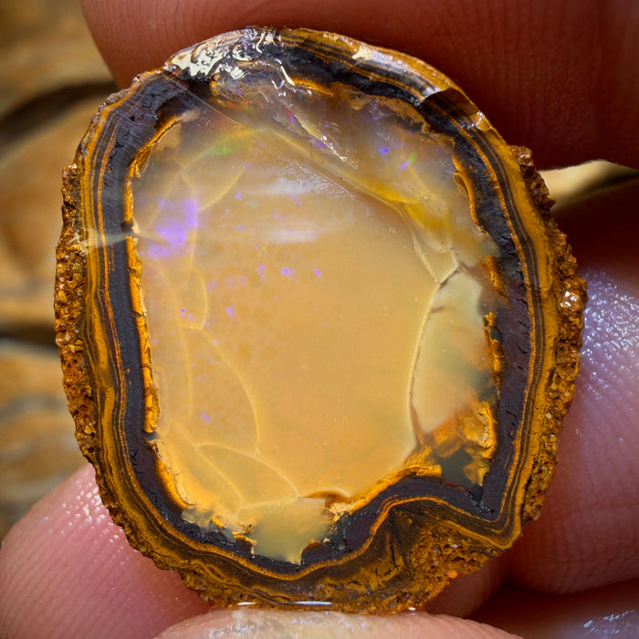 29.7cts - Yowah Nut Crystal Centre Opal Rough Half