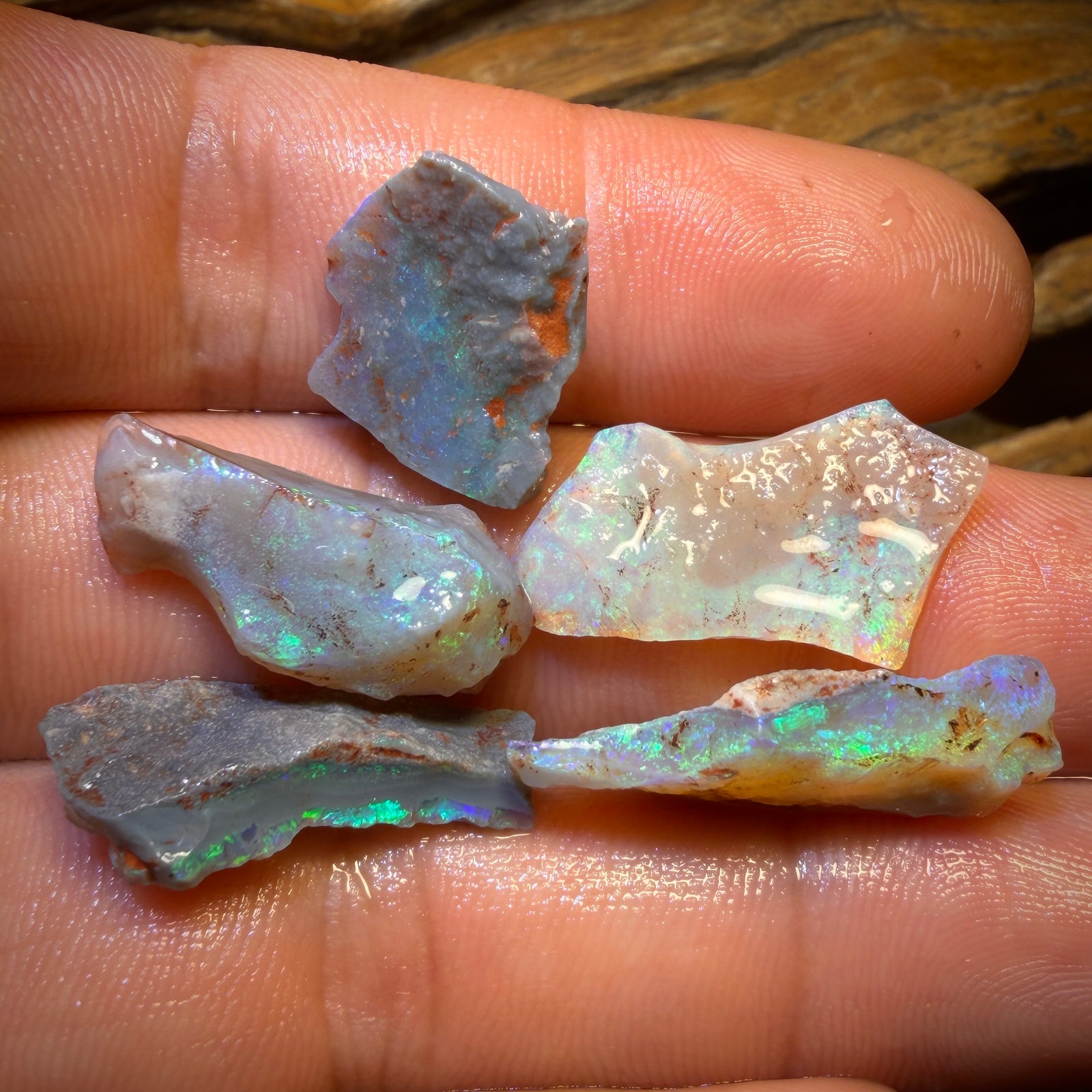 29.9cts - 5x Lightning Ridge Opal Rough Parcel