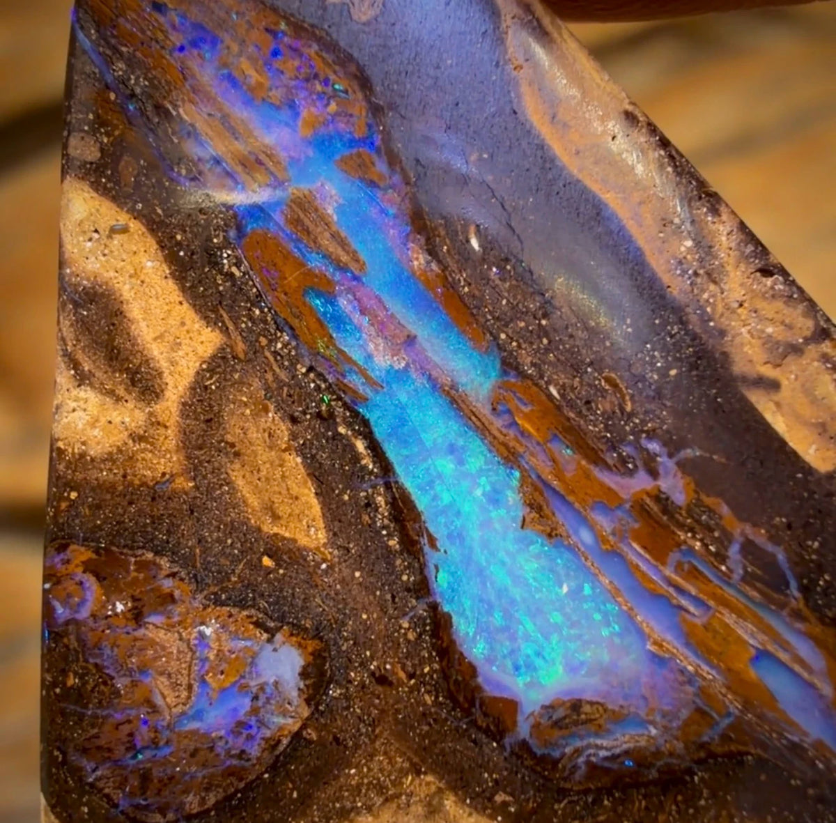 OpalFest BargainCard! 61.4cts - Yowah Nut Opal. Australian Boulder Opal