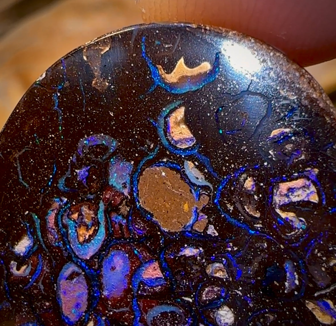 62.6cts - Tribal Yowah Nut Opal. Australian Opal