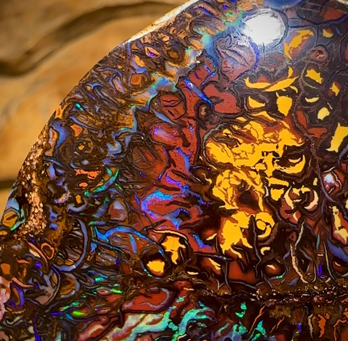 187.1cts - “Massive Big Boy Double Sided Picture Stone” Top Tribal Queensland Boulder Opal.