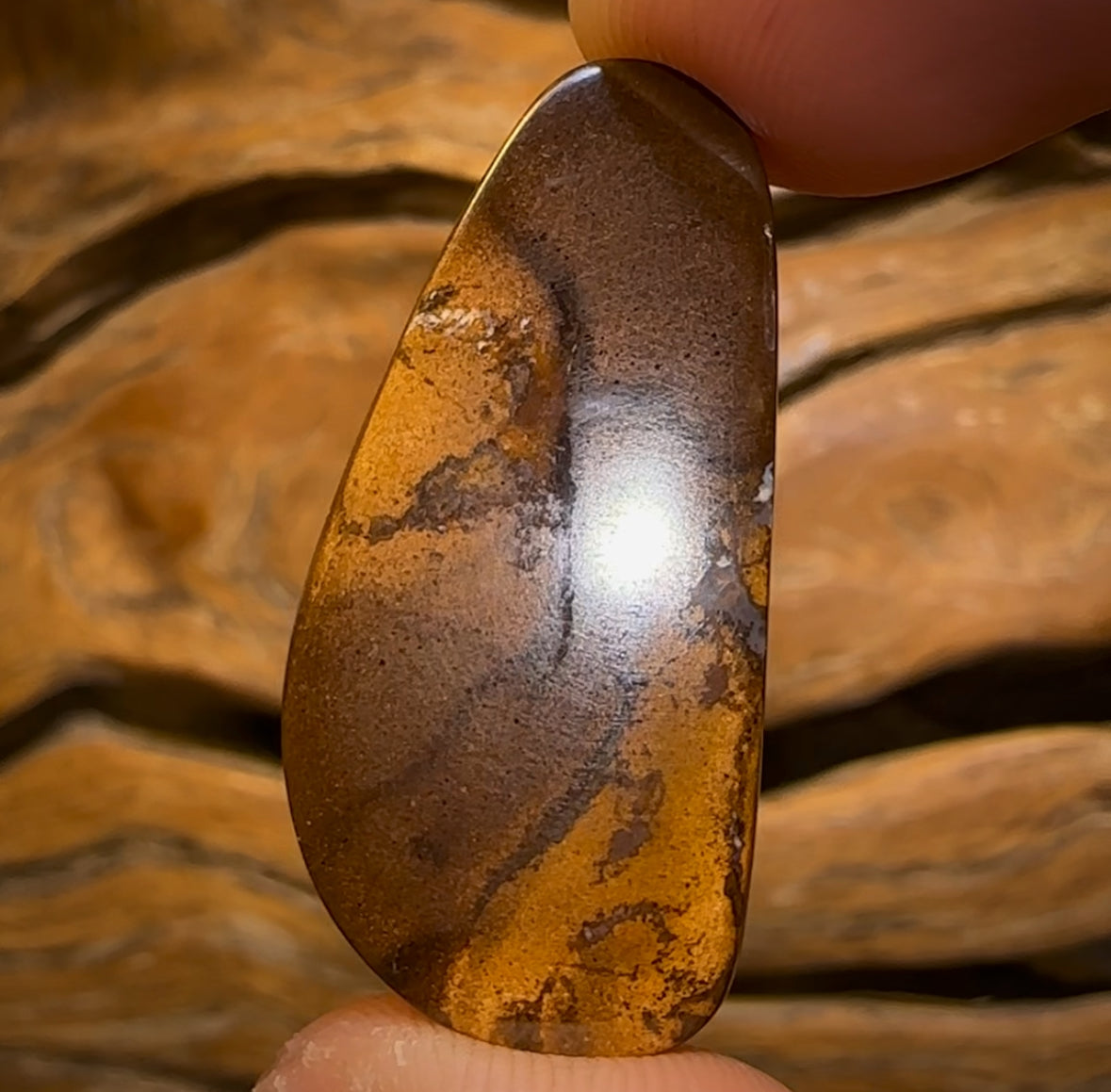 25.8cts - Queensland Boulder Opal from Yowah