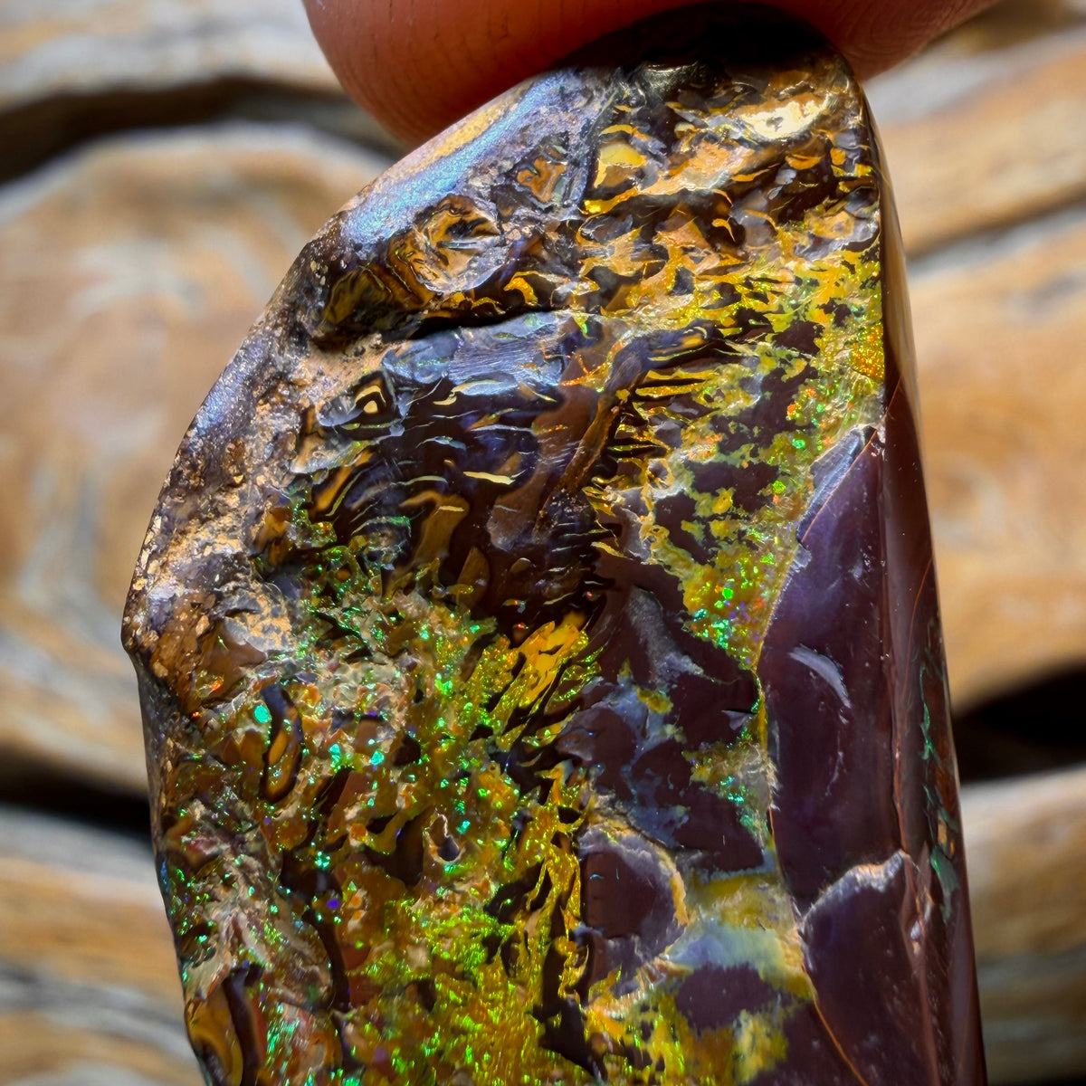 79.8cts - “Gold Finger” Yowah Nut Opal. Natural Split