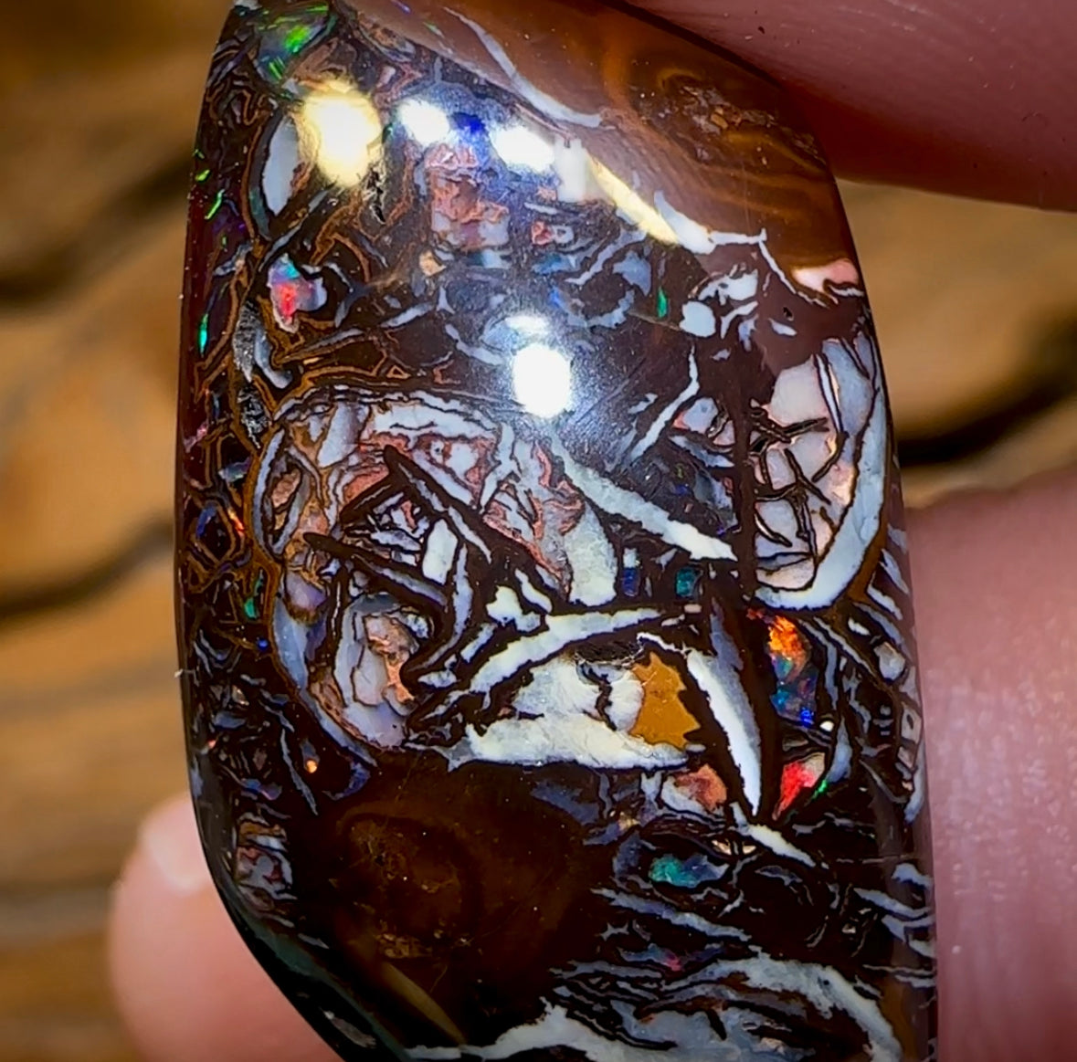 34.2cts - Tribal Koroit Nut. Dark Ironstone Bargain Black Boulder - Opal Whisperers
