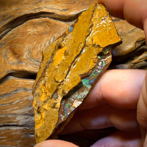 293.7cts - Yowah Opal Rough Piece. Biscuit Band