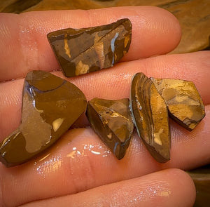 62.2cts - 5x Australian Boulder Seam Opal Rubs Parcel