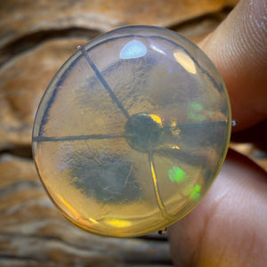 Australischer Opal in reiner Kristallqualität von Lightning Ridge, 21,2 Karat