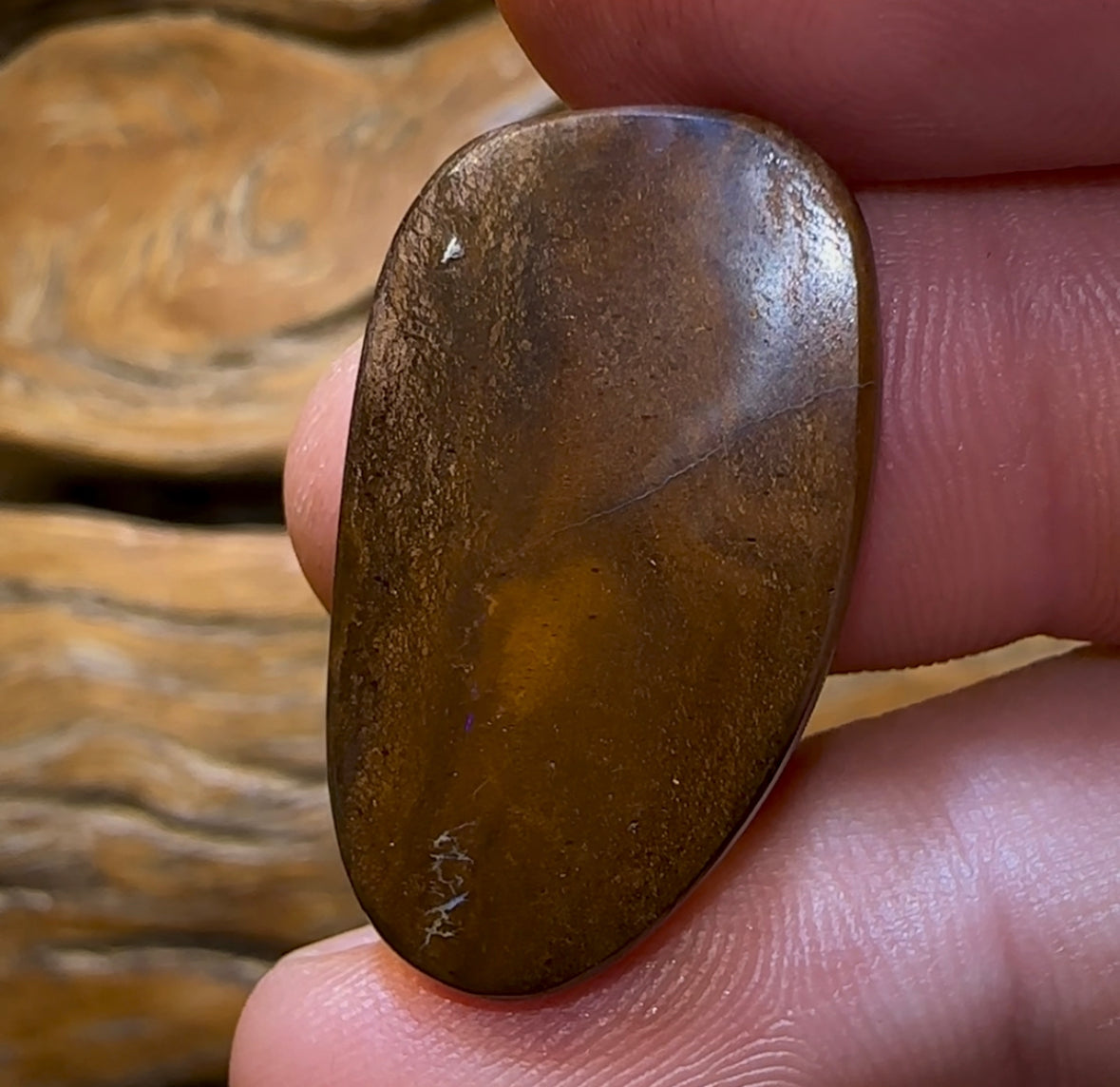 27.1cts - Top Tribal Queensland Boulder Opal from Koroit