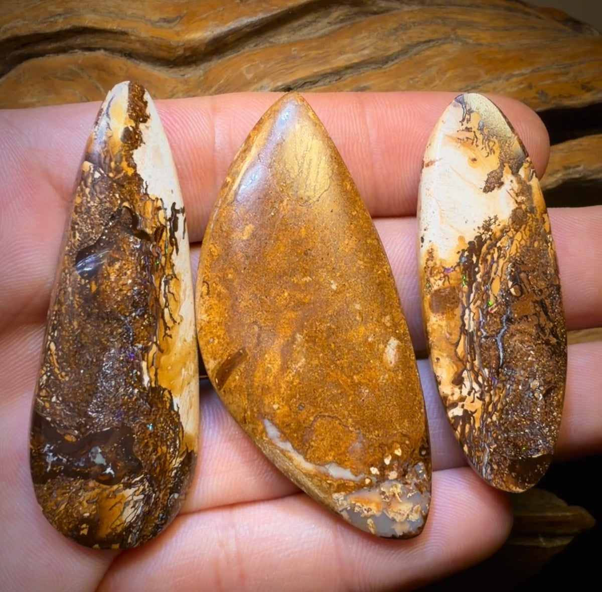 201.1cts - 3x Yowah Nut Opal’s. Wholesale Dealers Parcel less than $1/ct