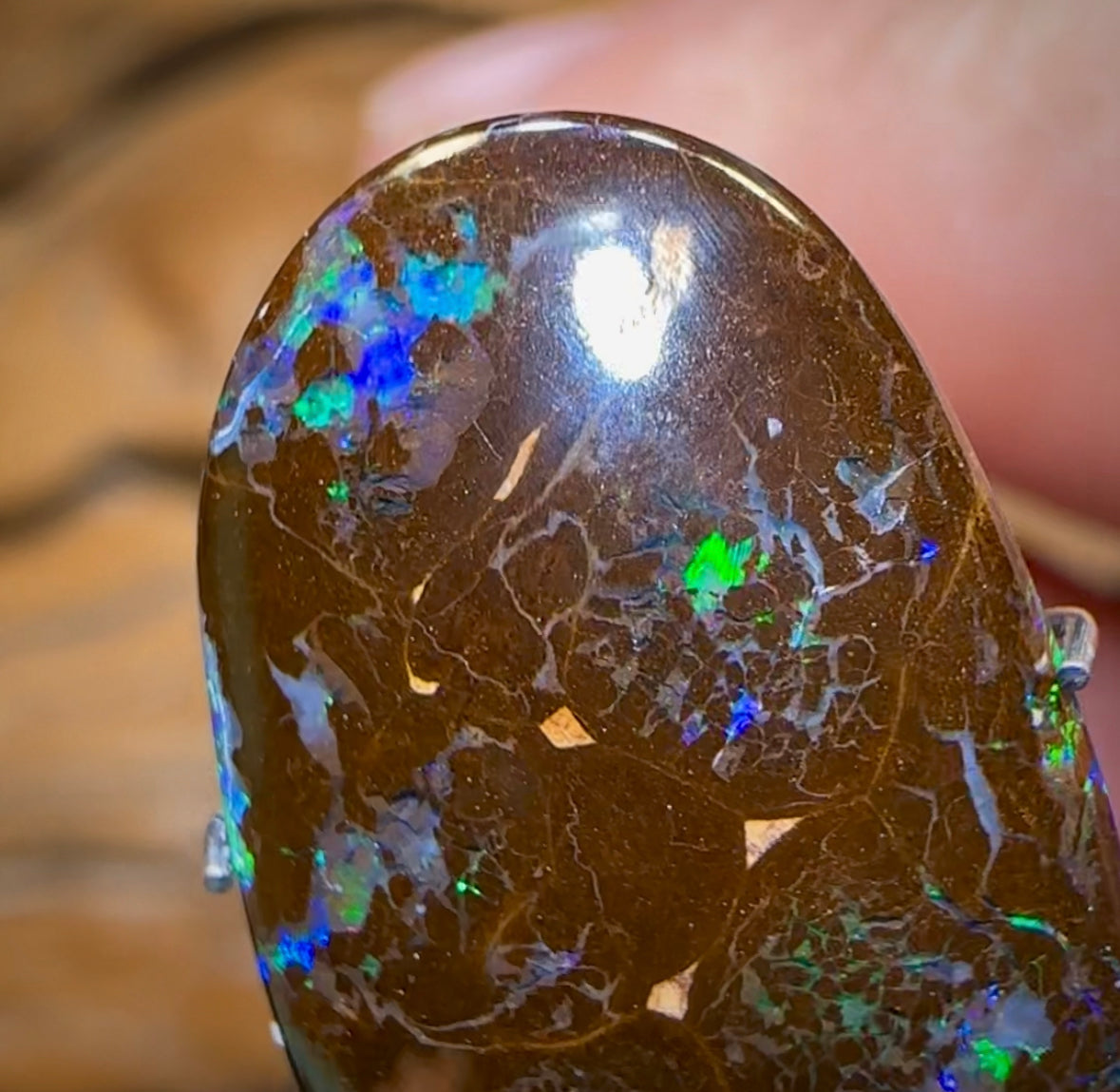 12.3cts - Bubble Band Opal from Winton