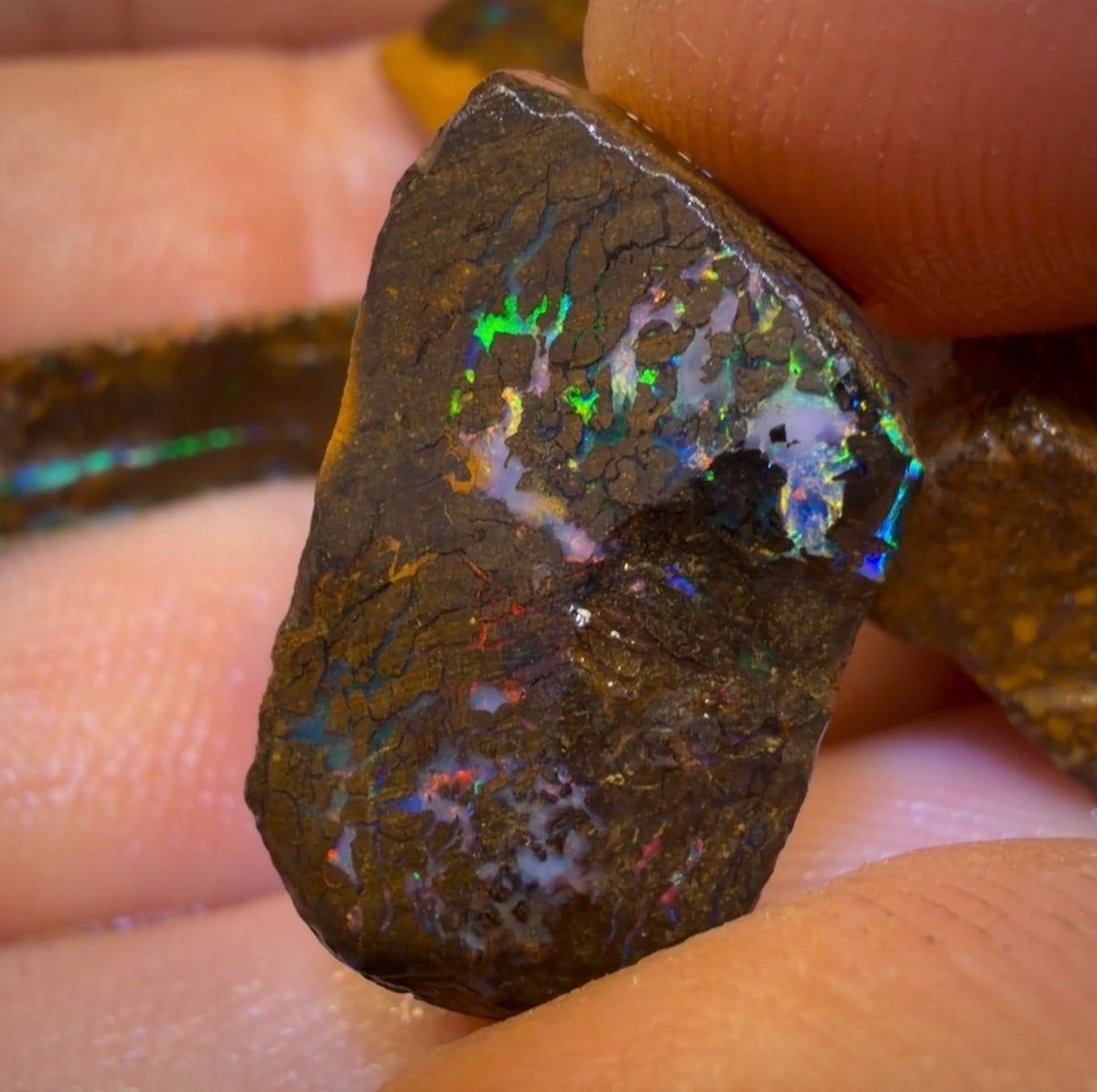 🔒50.6cts - 4x Australian Boulder Opal Rough Parcel