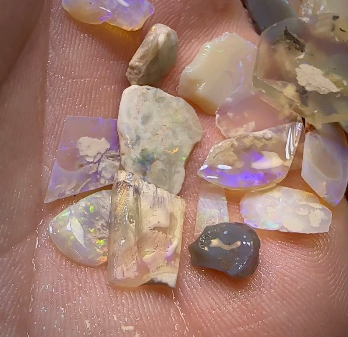 The 48.5cts - 40+ pieces Lightning Ridge Crystal Opal Rough - Opal Whisperers