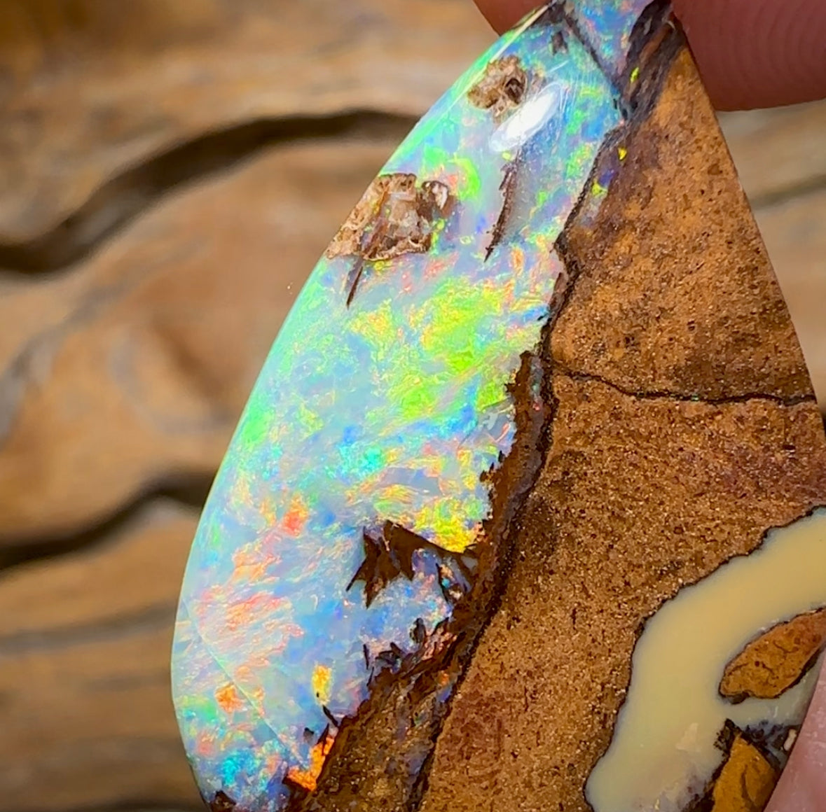 (Template) 24.1cts - Top Australian Boulder Wood Fossil Opal. Rare Cathedral Pattern - Opal Whisperers