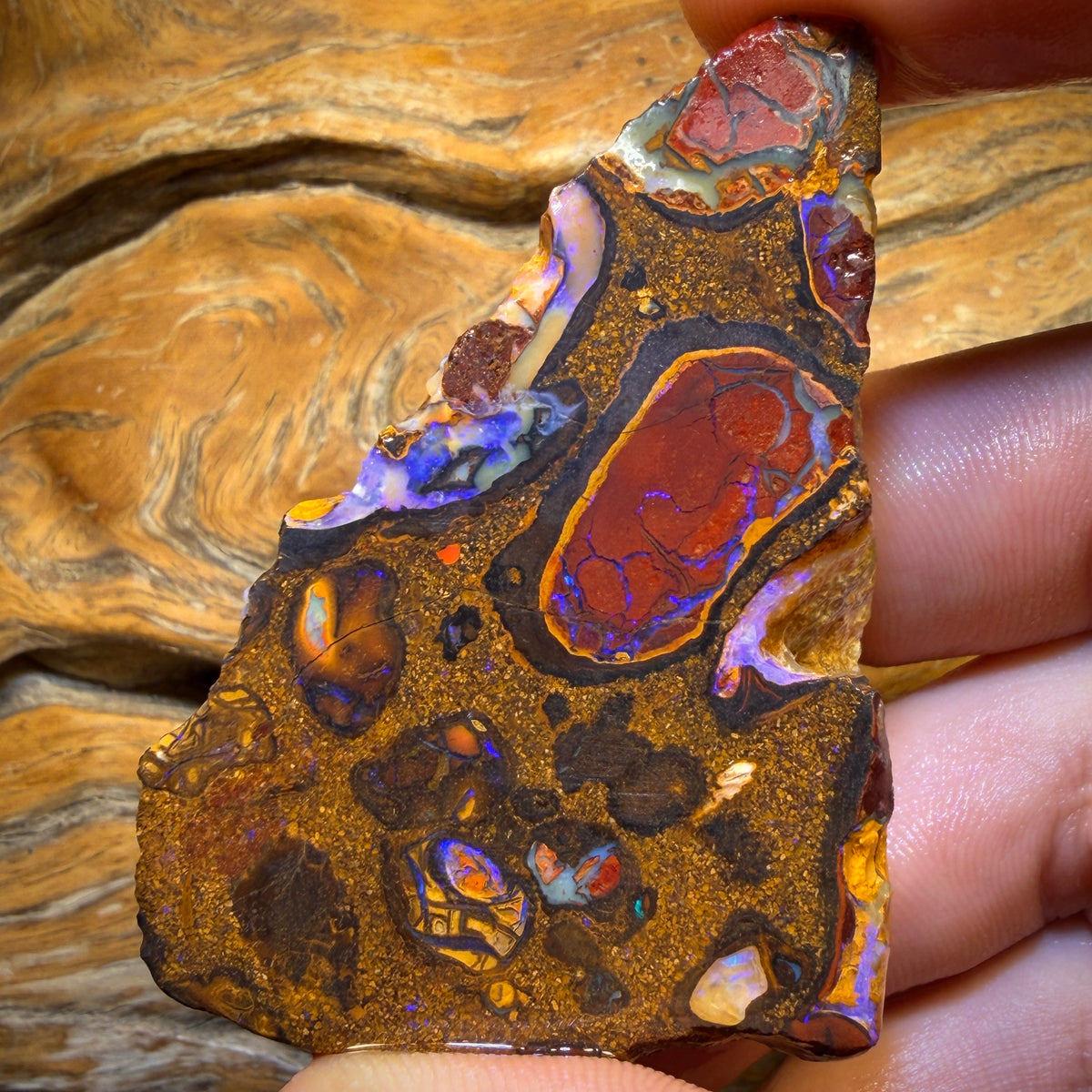 299.1cts - Yowah Nut Conglomerate Rough Piece. Featured On ‘OUTBACK OPAL HUNTERS’!!