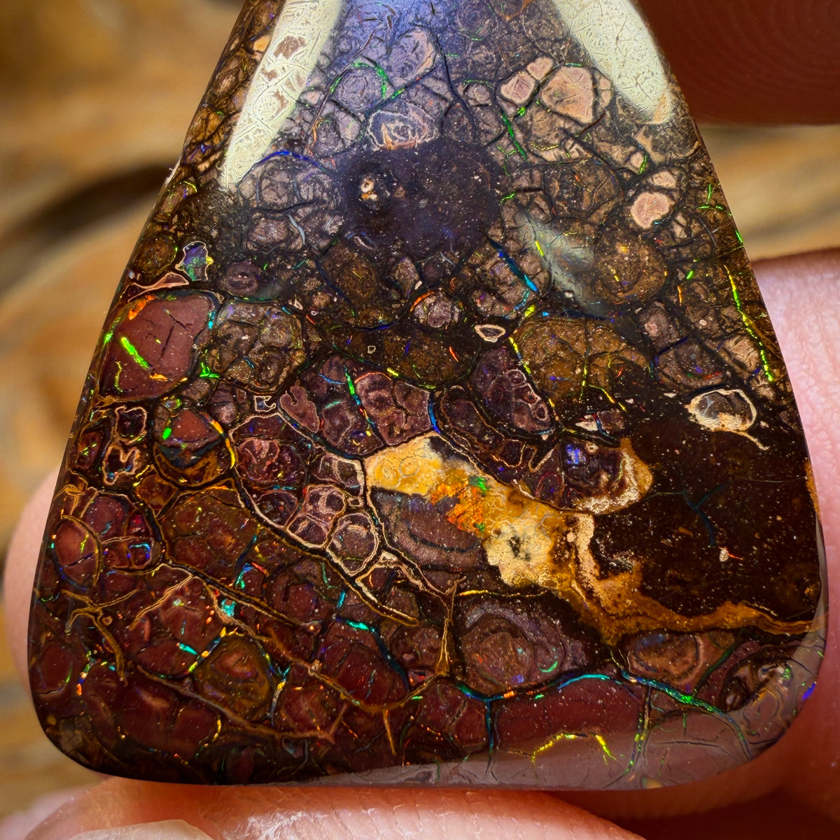 Bargain Card! 23.2cts - Top Tribal Queensland Boulder Opal from Yowah