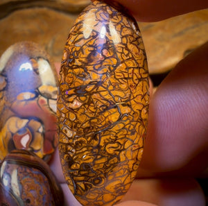 🔒 149.4cts - 5x Australian Tribal Boulder Opal’s. Wholesale Dealers Parcel