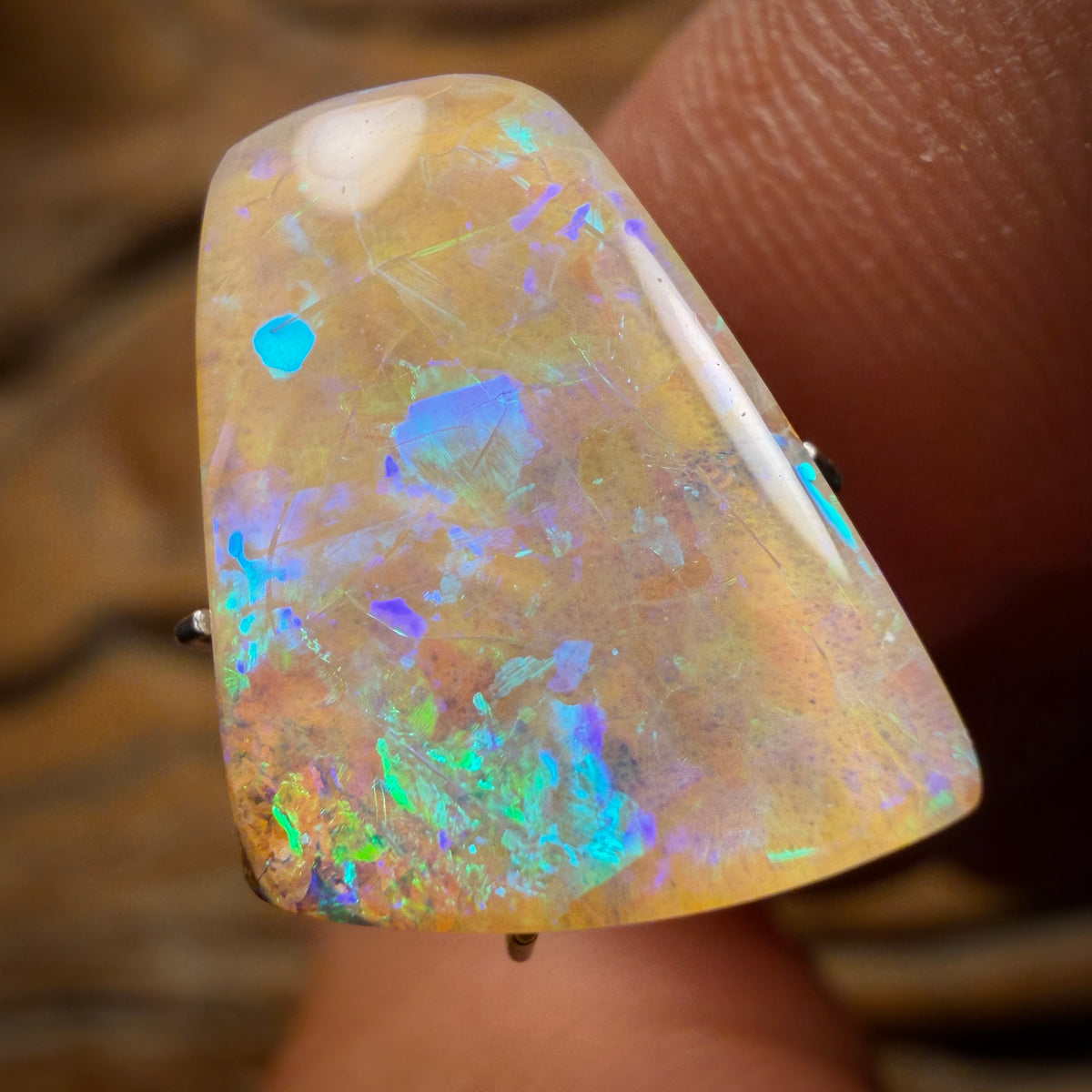 7.7cts - Queensland Boulder Opal. Australian Opal