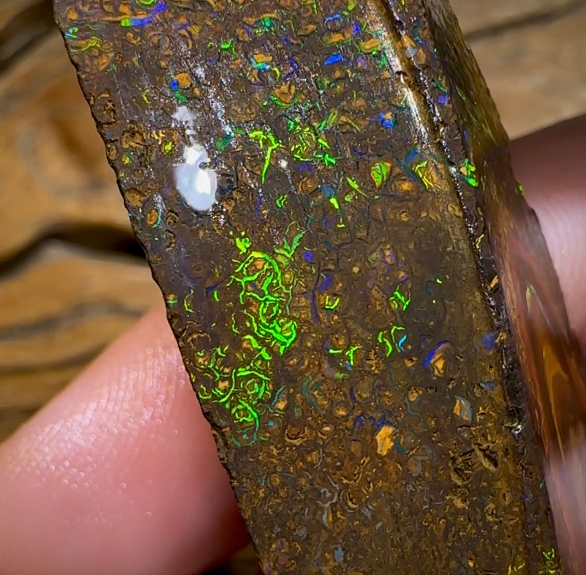 (Template) 178.4cts - Yowah Nut Rough Piece. TOP TRIBAL - Opal Whisperers