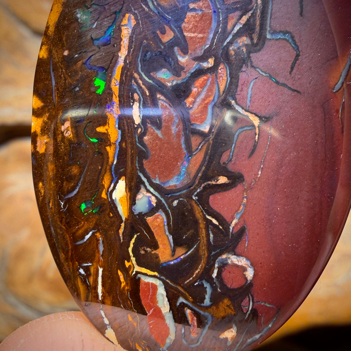 52.6cts - Top Tribal Queensland Boulder Opal from Yowah