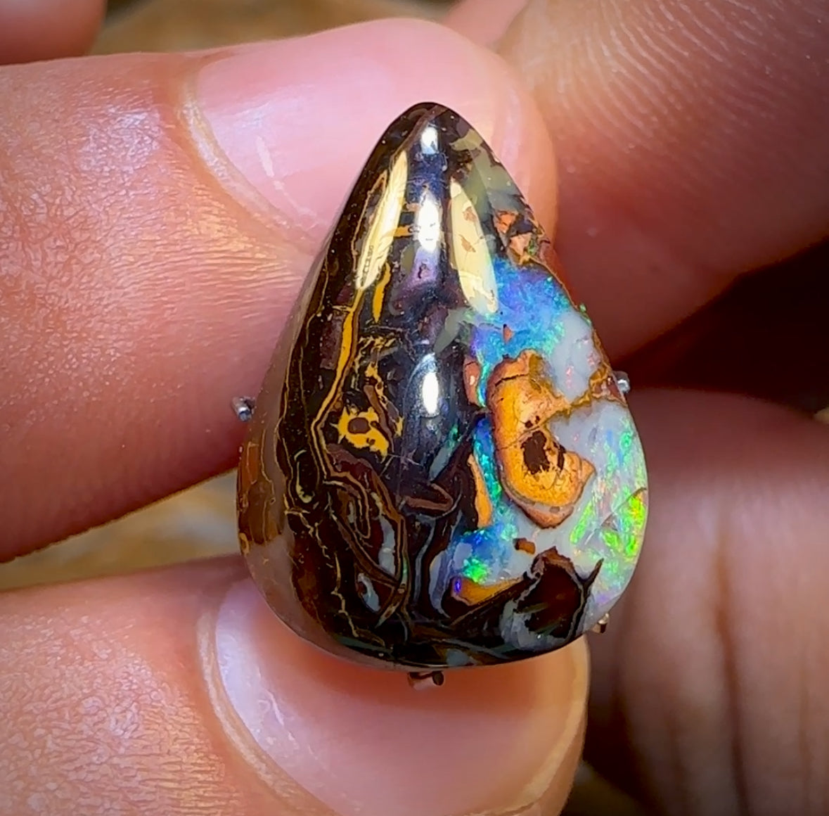 🔨 AUCTION 🔨 9.9cts - Yowah Nut Kernel Opal