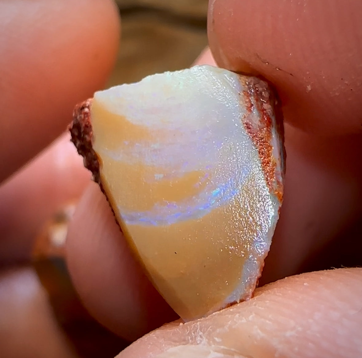 68.2cts - 5x Queensland Boulder Pipe Opal Rough Parcel