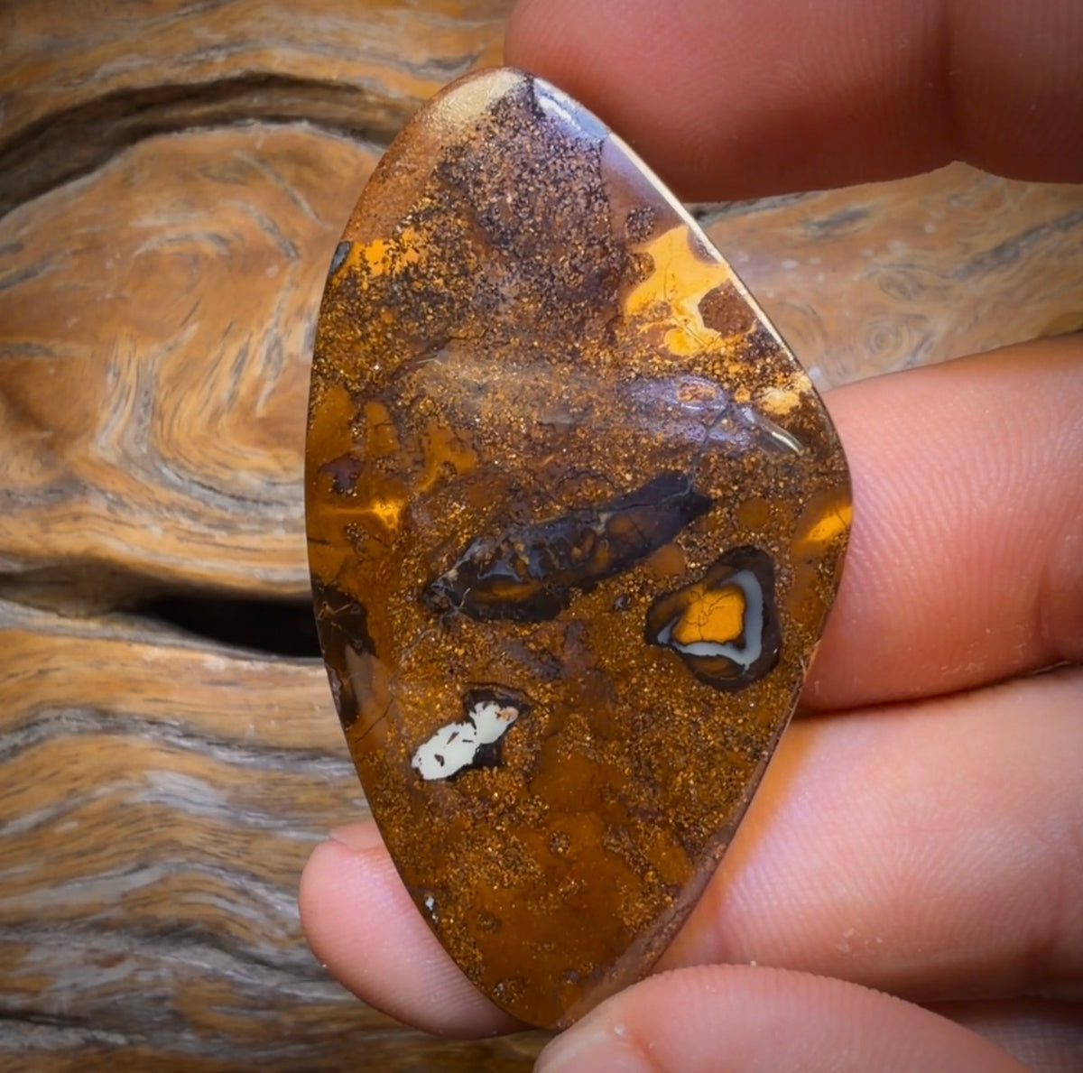 91.1cts - Tribal Eye1 Yowah Nut Opal. Australian Opal