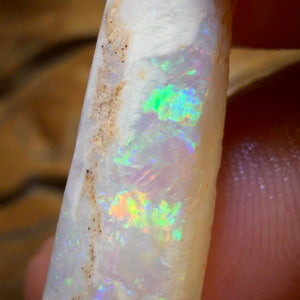 14.9cts - Opalised Belemnite Geological Specimen from South Australia