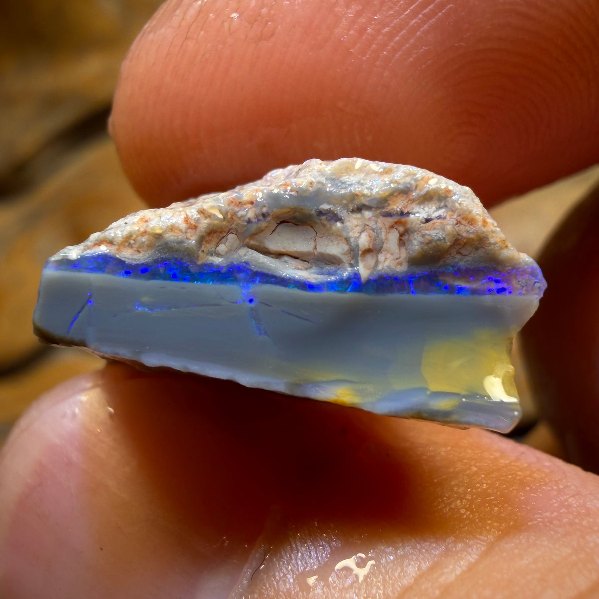 Bargain Card! 13.4cts - Lightning Ridge Dark Opal Rough Piece