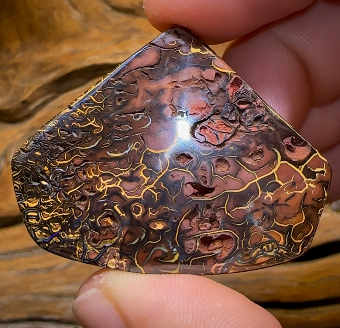 113.1cts - Top Tribal Magic Koroit Nut Australian Opal. - Opal Whisperers