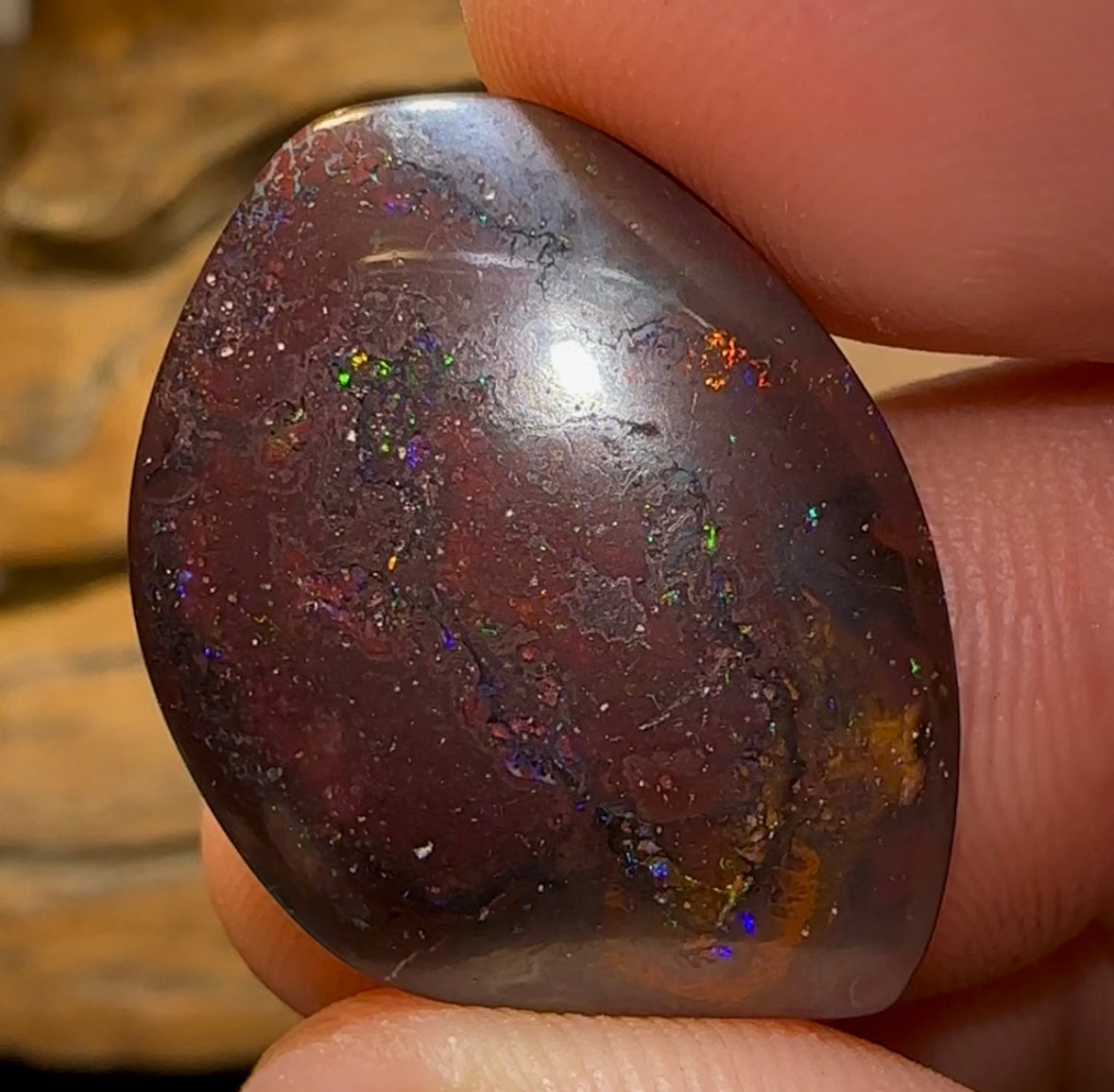 25.6cts - Queensland Boulder Opal from Koroit - Opal Whisperers