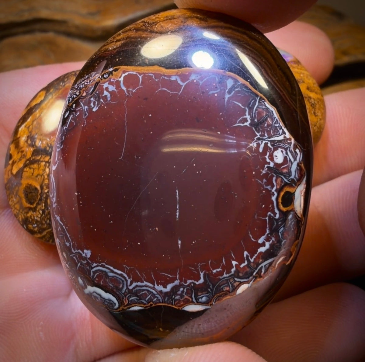 228.1cts - 3x Queensland Boulder Opal’s. Wholesale Dealers Parcel $1/ct