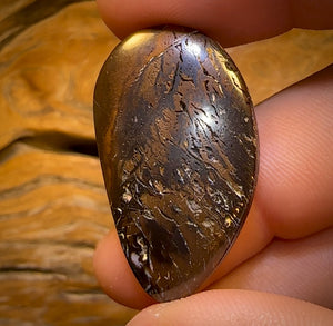 47.9cts - Rare Top Broad Tribal Yowah Nut Opal