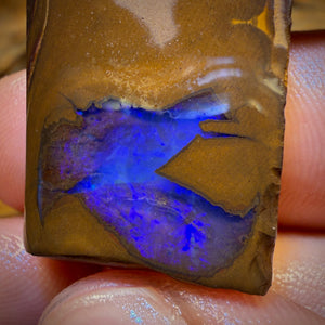64,6ct – Queensland Boulder Opal Rohling Rohform aus Duck Creek