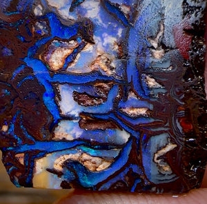 44.9cts - OMG Tribal Queensland Boulder Opal Rough Piece from Koroit