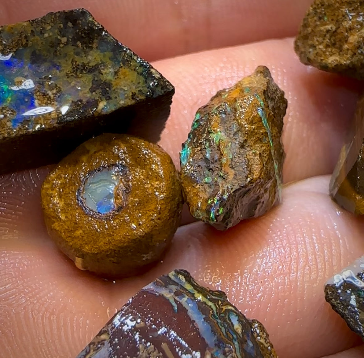 122.5cts - 10x Mixed Queensland Boulder Opal Rough Parcel