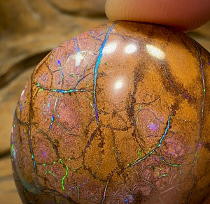 160cts - Large Yowah Nut Opal. Tribal Pattern