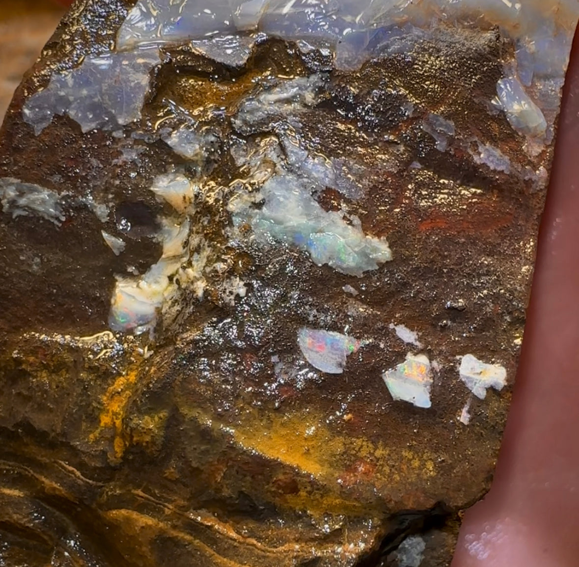292g - Queensland Boulder Seam Opal Rough Specimen - Opal Whisperers