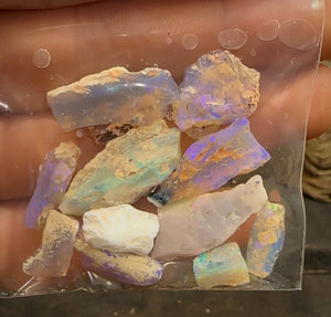 56cts - Lightning Ridge, Fossil Rough Opal Specimen - Opalwhisperers