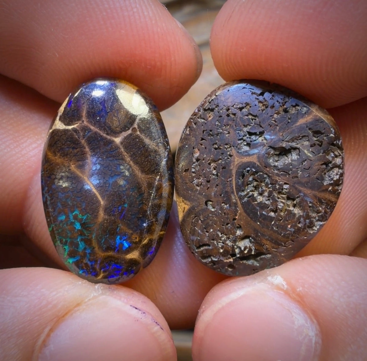 36.9cts - Top Electric Bubbleband Opal Pair. Australian Opal