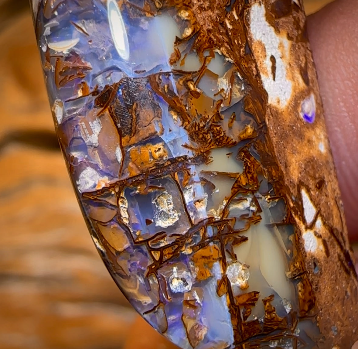 78.9cts - Large Australian Boulder Wood Fossil Opal